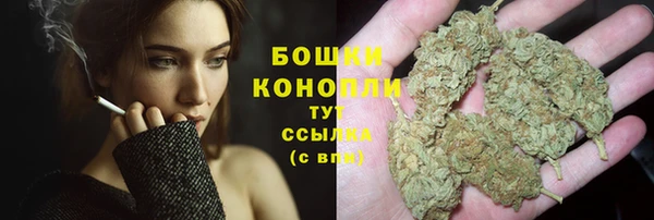 СК Касимов