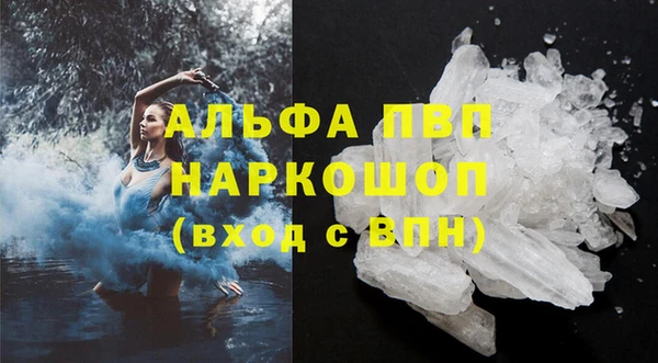 СК Касимов
